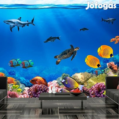 Fotótapéta - Vízalatti világ