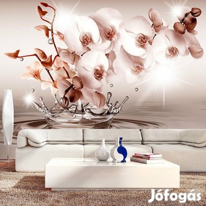 Fotótapéta - Vizes játék