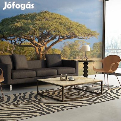 Fotótapéta - Zimbabwe