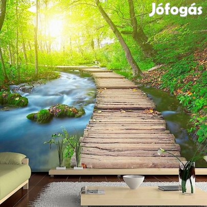 Fotótapéta - Zöld erdő folyóval