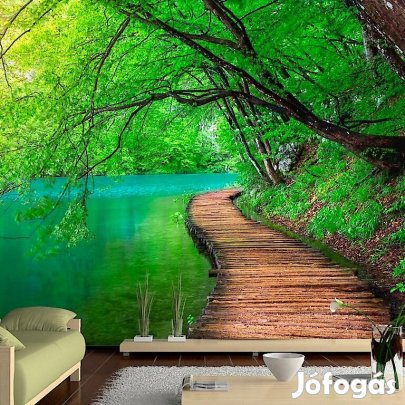 Fotótapéta - Zöld erdő tóval