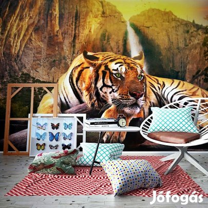 Fotótapéta - Zöld szemű tigris