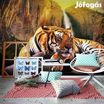 Fotótapéta - Zöld szemű tigris