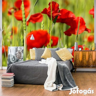 Fotótapéta - Zöldek közt