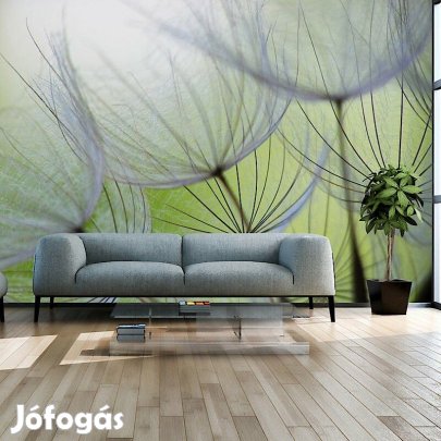 Fotótapéta - Zöldes hangulat