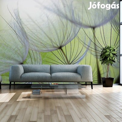 Fotótapéta - Zöldes hangulat