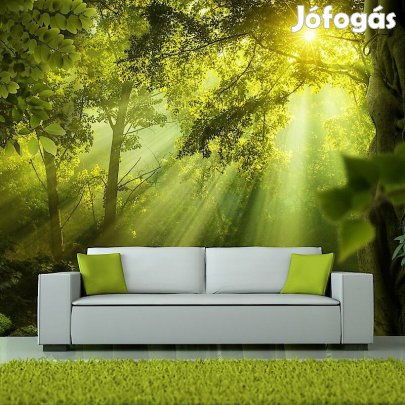 Fotótapéta -  Átvilágítva