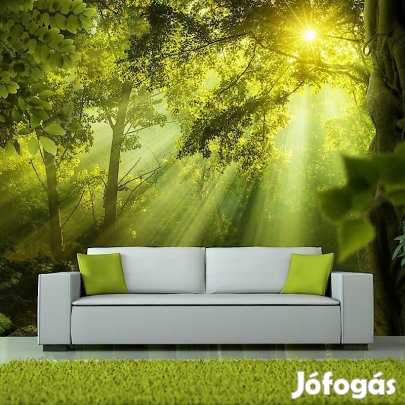 Fotótapéta -  Átvilágítva