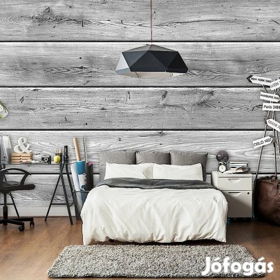 Fotótapéta -  Erdei kompozíció 2