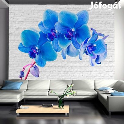 Fotótapéta -  Kék világ