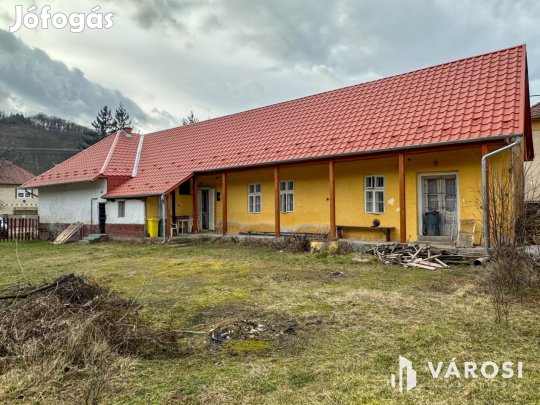 Főútvonal mellett, vállalkozásra alkalmas családi ház eladó!