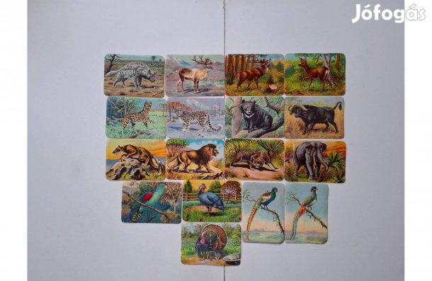 Franck kávé állatos kártyák 12*8,5 cm darabár