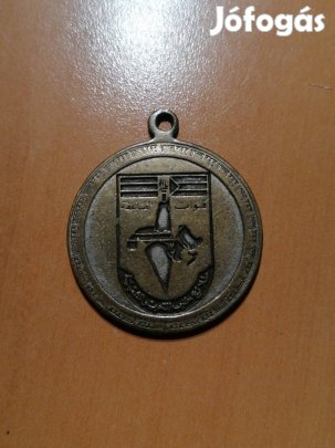 Freedom Justice Progress medál