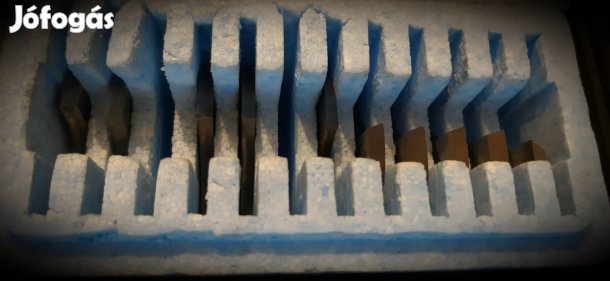 Freud marófej olasz