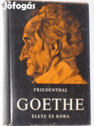 Friedenthal Goethe élete és kora
