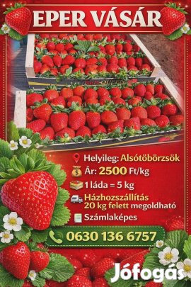 Friss görög eper kapható