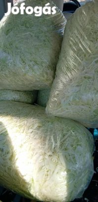 Frissen gyalult agressor káposzta 10 kg-os kiszerelésben