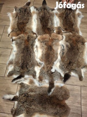 Frissen kikészített nyúlszörmék