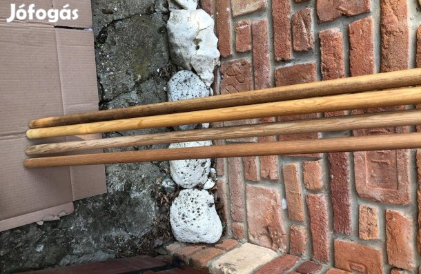 Függönykarnis 5000 ft/ db:Lenti