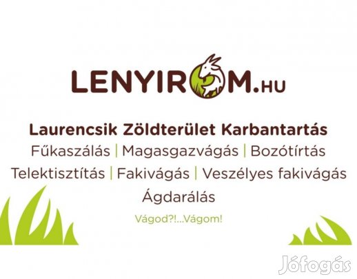 Fűkaszálás / Bozótirtás / Veszélyes fák kivágása Eger és környéke