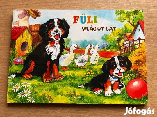 Füli világot lát - leporello