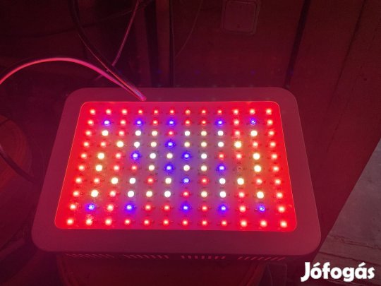 Full spektrumu led lámpa 1200w