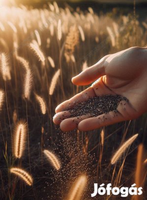 Fűmagkeverék AKG Zöldugar 1 (lucernás) eladó postai utánvéttel
