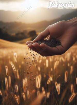 Fűmagkeverék AKG Zöldugar 3 (vörös here) fémzárolt eladó postai utánvé