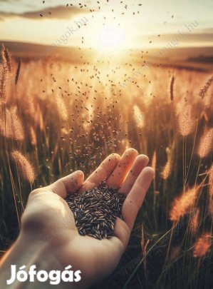 Fűmagkeverék Nitrogén Fix, eladó, postai szállítással is