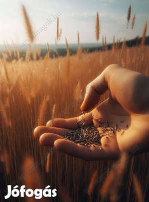 Fűmagkeverék, 7 összetevővel, fémzároltan eladó, postai szállítással i