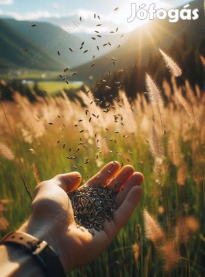 Fűmagkeverék, fűmag AKG ugar szálas 1 eladó postai utánvéttel