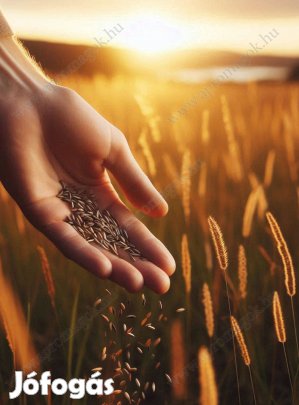 Fűmagkeverék, fűmag AKG zöldugar 2 eladó postai utánvéttel