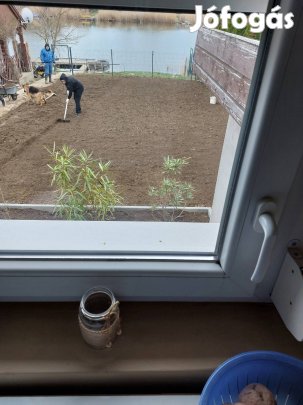 Fűnyírás kert építés Gipkartonozás