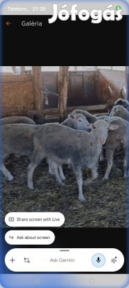 Fűnyírónak keresek.