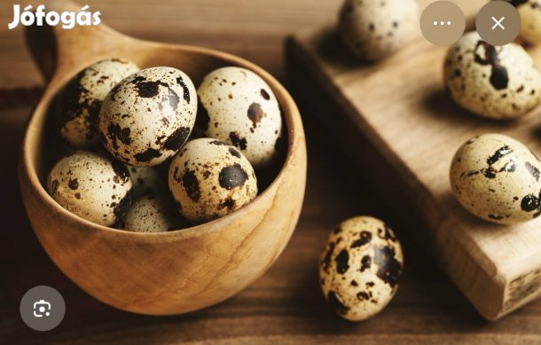 Fürj tojás étkezésre