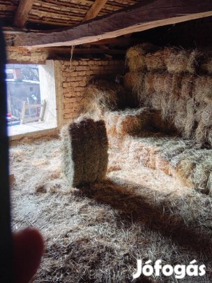 Fűszéna eladó