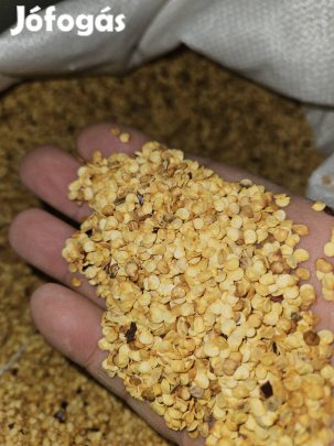 Fűszerpaprika vetőmag!