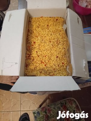 Fűszerpaprikamag eladó