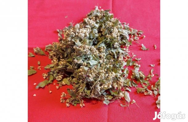 Galagonya virágzó hajtásvég eladó