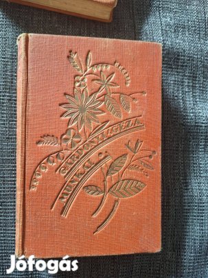 Gárdonyi Géza : Mi erősebb a halálnál ? ( Dante )