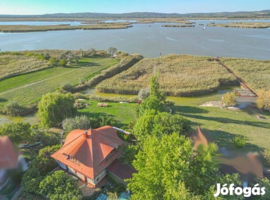 Gárdonyi eladó 160 nm-es ház #5045322