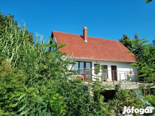 Gárdonyi eladó 177 nm-es ház