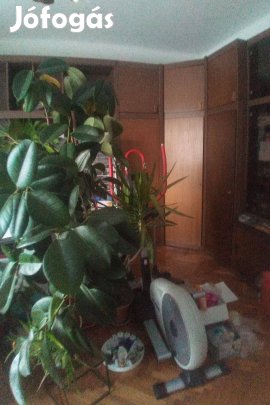 Gardróbszekrény 2 méretben. Előszobában is rendezett képet mutat