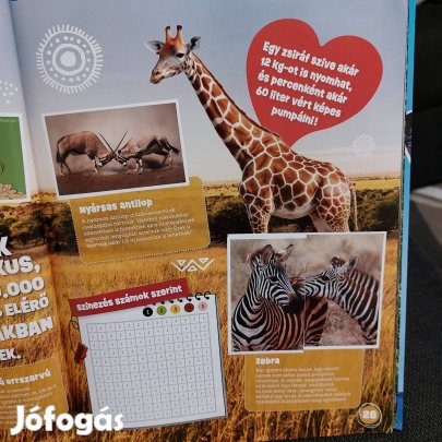 Garfield albumgyűjtemény