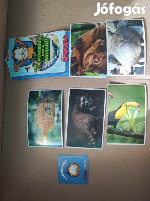 Garfield mentsük meg a bolygót gyűjtemény matrica