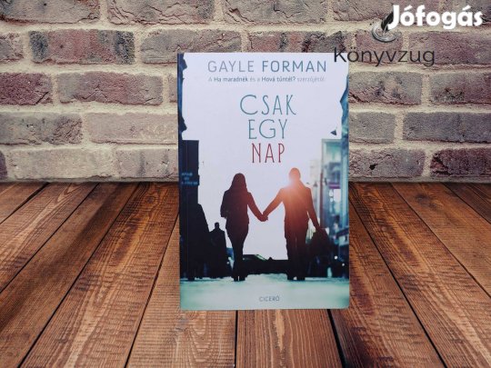Gayle Forman - Csak egy nap
