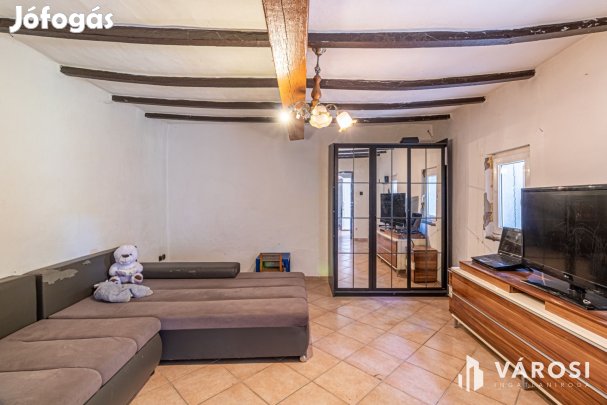 Gazdálkodásra, állattartásra alkalmas Ásotthalmi birtok