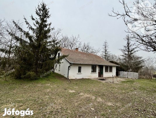Gazdálkodna? Itt az alap hozzá!  Tanya eladó Kiskunfélegyházán!