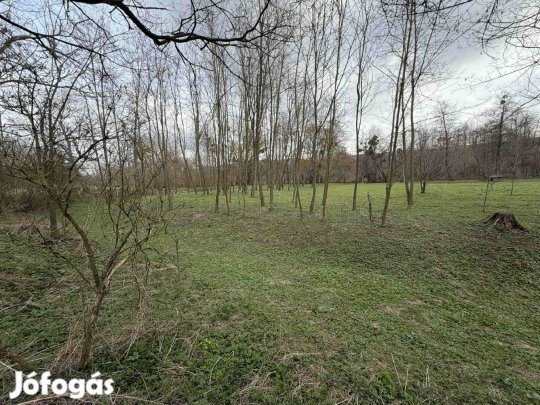 Gazdálkodók figyelem! Kivételes lehetőség a Bakonyban  2980 m-es