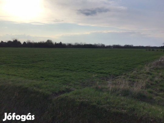 Gencsapáti frekventált utcájában kiváló adottságú telek eladó!